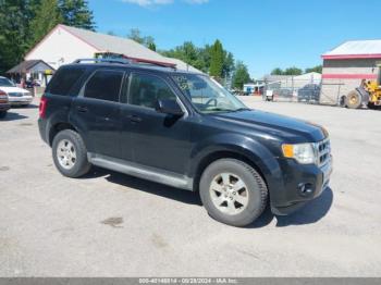  Salvage Ford Escape