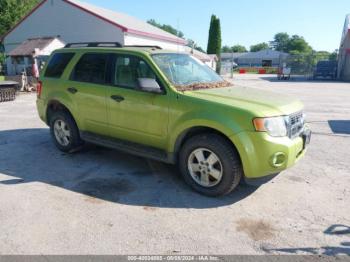  Salvage Ford Escape