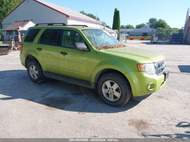  Salvage Ford Escape