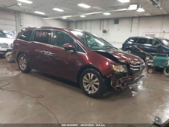  Salvage Honda Odyssey