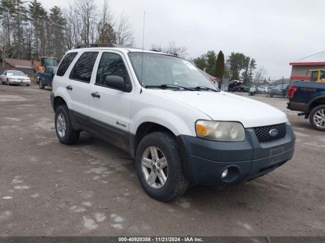  Salvage Ford Escape