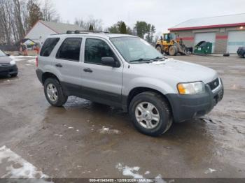  Salvage Ford Escape