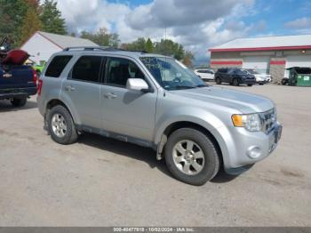  Salvage Ford Escape