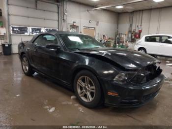  Salvage Ford Mustang