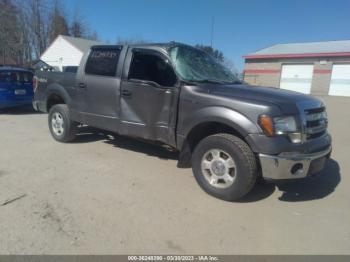  Salvage Ford F-150