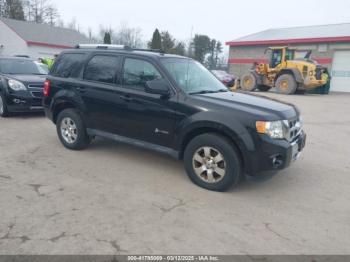  Salvage Ford Escape