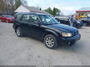 Salvage Subaru Forester