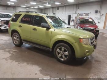  Salvage Ford Escape