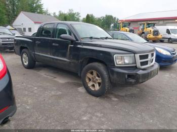  Salvage Dodge Dakota