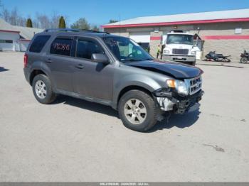  Salvage Ford Escape