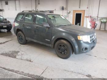  Salvage Ford Escape