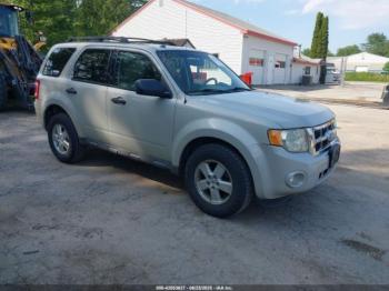  Salvage Ford Escape
