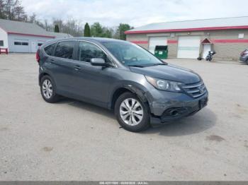  Salvage Honda CR-V