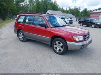  Salvage Subaru Forester