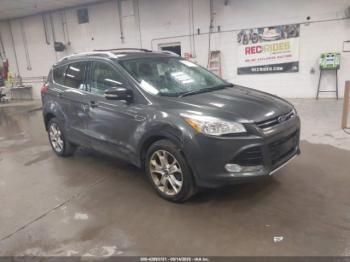 Salvage Ford Escape