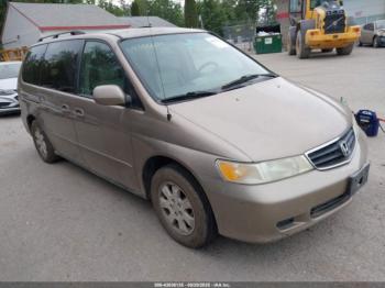  Salvage Honda Odyssey