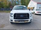 Ford F-150 Image 3