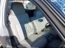 Chevrolet Colorado Work Truck Image 3