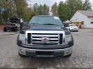 Ford F-150 Image 12