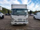 Isuzu Dsl Reg At Image 12