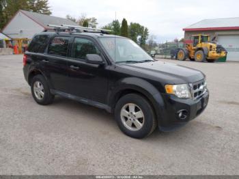  Salvage Ford Escape