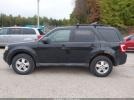 Ford Escape Xlt Image 10