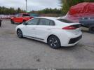 Hyundai Ioniq Sel Image 10