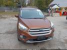 Ford Escape Se Image 10