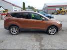 Ford Escape Se Image 3