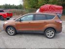 Ford Escape Se Image 12