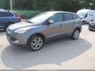 Ford Escape Sel Image 9