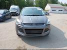 Ford Escape Sel Image 4