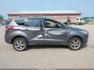 Ford Escape Sel Image 14