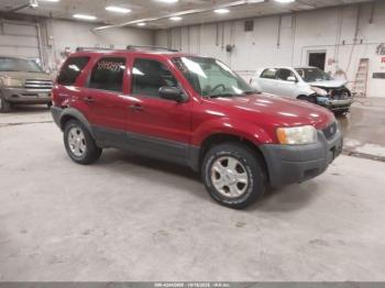  Salvage Ford Escape