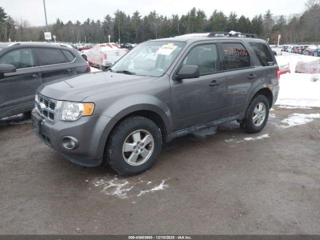 Ford Escape Xlt Image 6