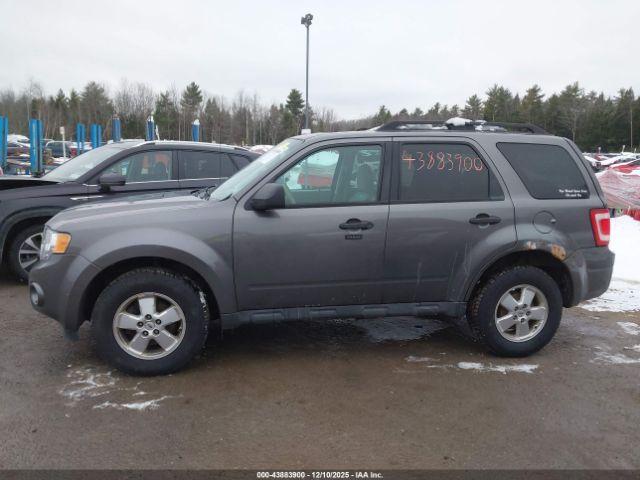 Ford Escape Xlt Image 11