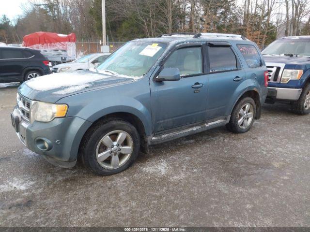 Ford Escape Limited Image 5