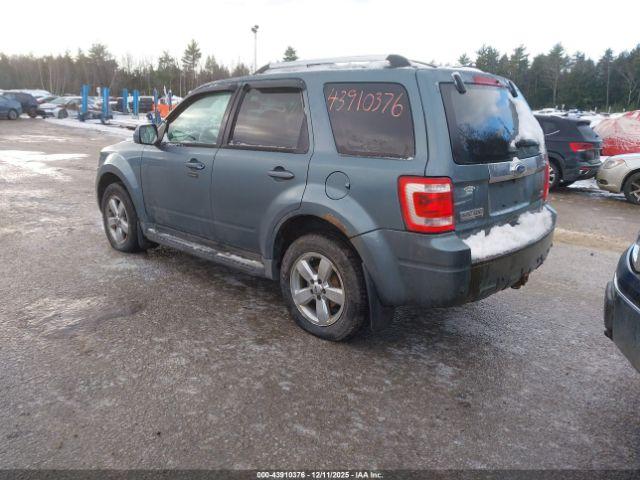 Ford Escape Limited Image 7