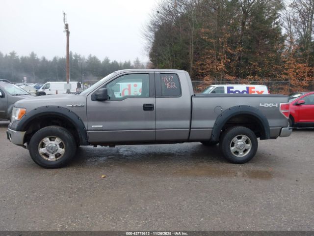 Ford F-150 Xlt Image 7