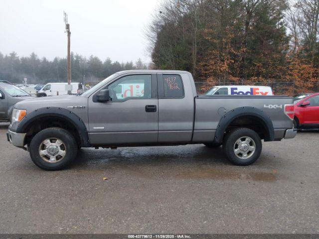 Ford F-150 Xlt Image 7