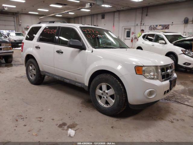  Salvage Ford Escape