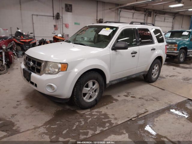Ford Escape Xlt Image 14