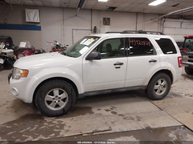 Ford Escape Xlt Image 4