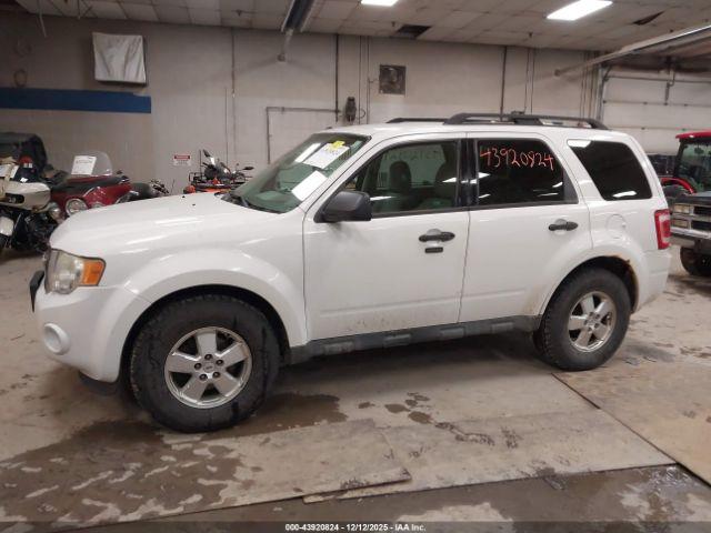 Ford Escape Xlt Image 4