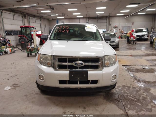 Ford Escape Xlt Image 11