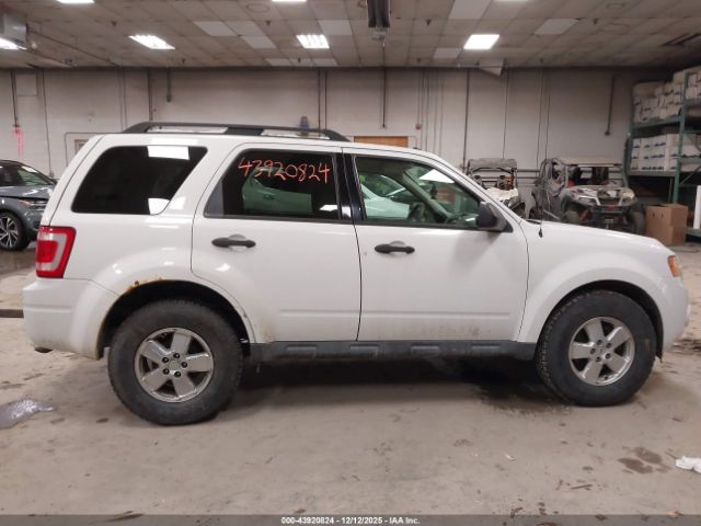 Ford Escape Xlt Image 5