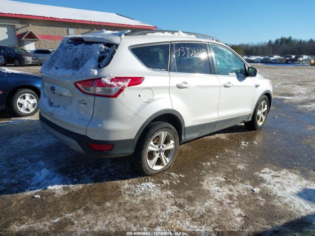 Ford Escape Se Image 14