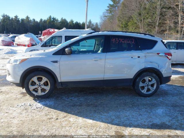 Ford Escape Se Image 11