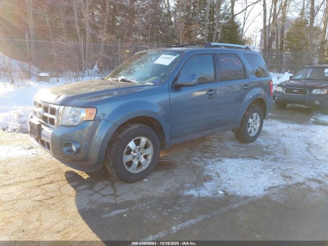 Ford Escape Limited Image 6