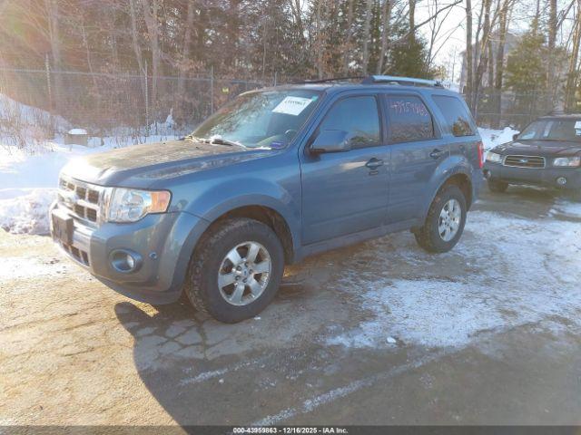 Ford Escape Limited Image 6